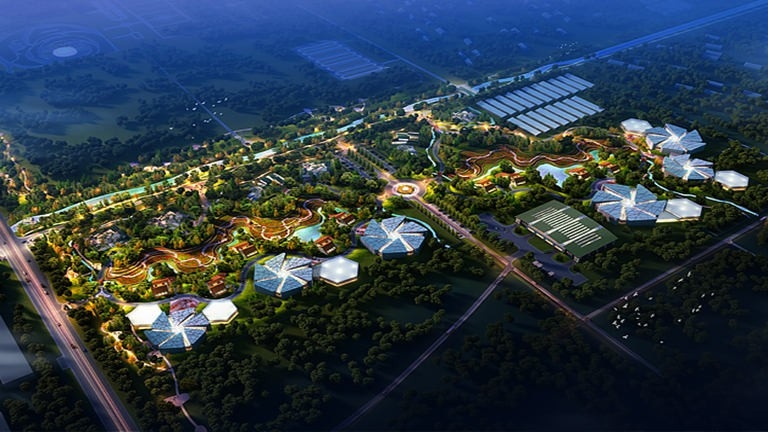 纳波湾月季（玫瑰）产业园