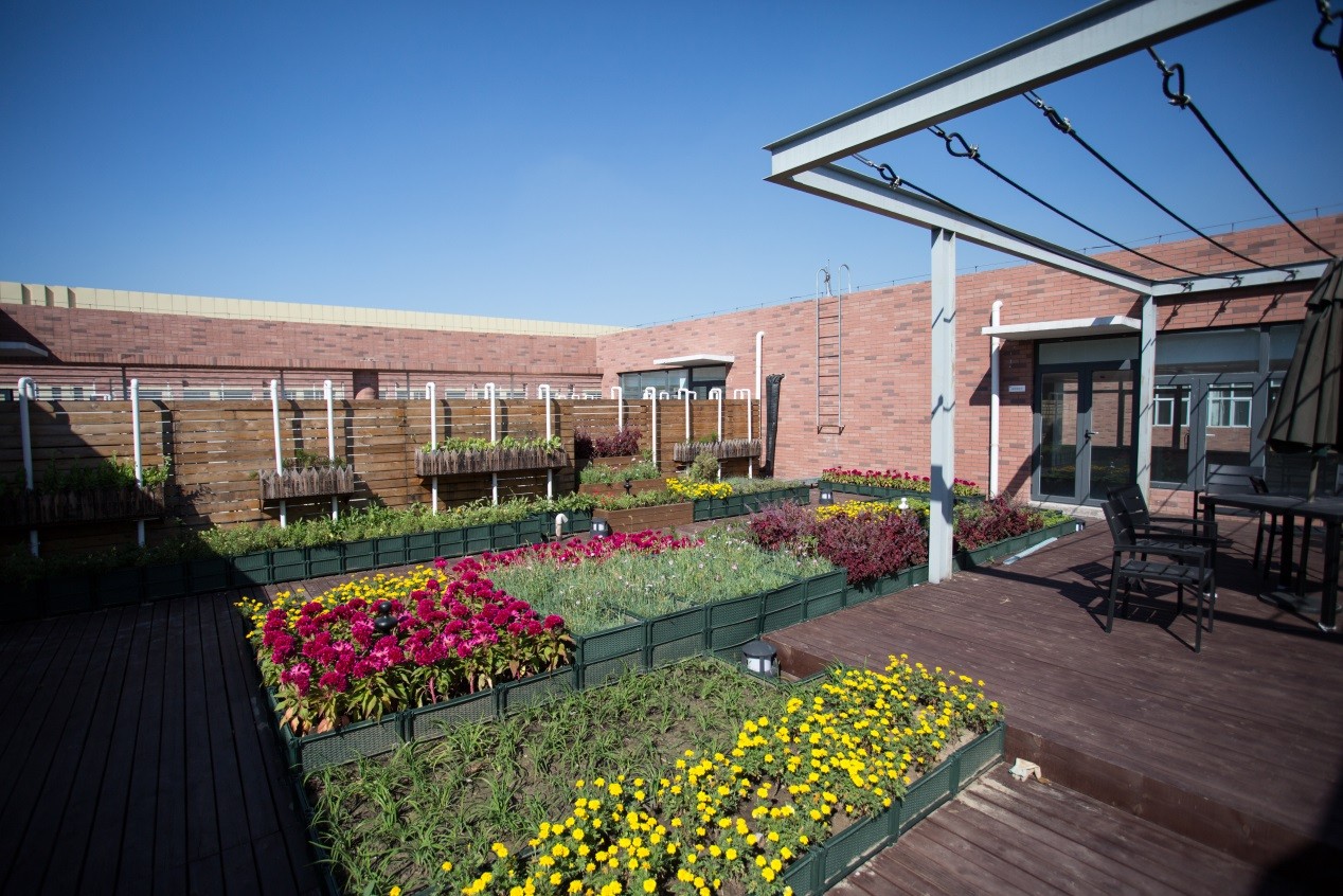 球王会体育在线平台(中国)设计