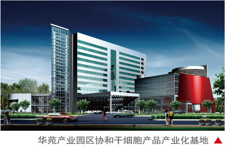 球王会体育在线平台(中国)设计